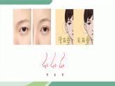 新教科版六年级下册科学2.5《相貌各异的我们》（课件+素材）