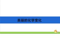 小学科学教科版 (2017)六年级下册7. 美丽的化学变化优质课ppt课件