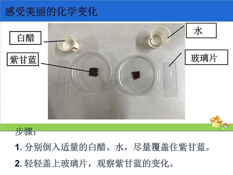 4.7《美丽的化学变化》教学课件第4页