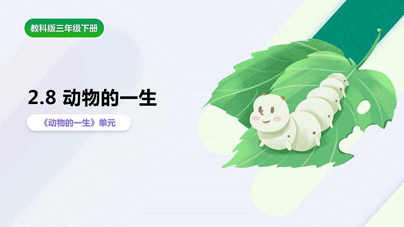 教科版(2017)科学三年级下册2.8《动物的一生》课件PPT+教案+练习01