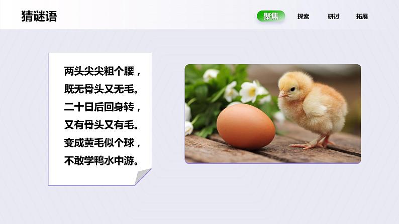 教科版(2017)科学三年级下册2.8《动物的一生》课件PPT+教案+练习06