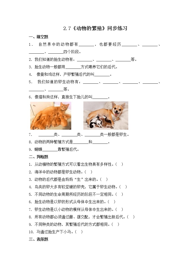 教科版(2017)科学三年级下册2.7《动物的繁殖》课件PPT+教案+练习01