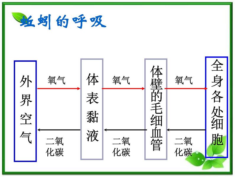 教科小学科学三上《2.4、蚯蚓》PPT课件(10)08