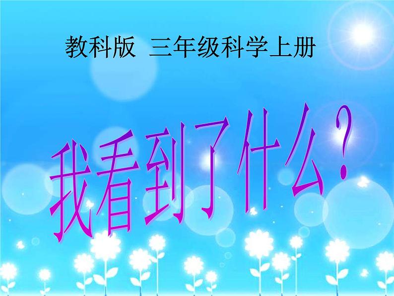 教科小学科学三上《1.1.我看到了什么》PPT课件(7)01