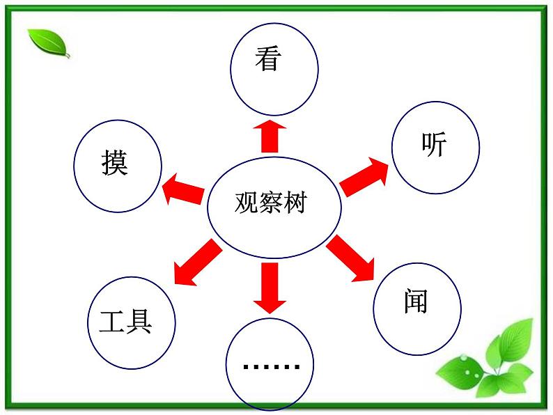 教科小学科学三上《1.2、校园的树木》PPT课件(9)第3页