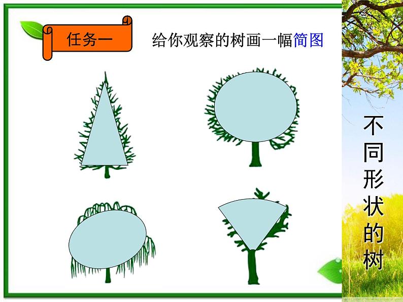 教科小学科学三上《1.2、校园的树木》PPT课件(9)第5页