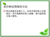 教科小学科学三上《1.2、校园的树木》PPT课件(16)