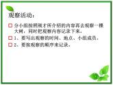 教科小学科学三上《1.2、校园的树木》PPT课件(16)