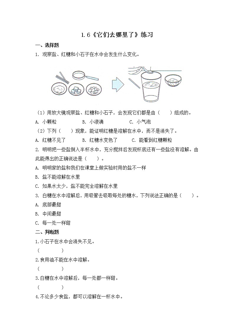 1.6《它们去哪里了》同步练习第1页
