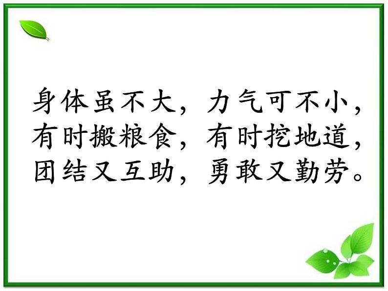 教科小学科学三上《2.5、蚂蚁》PPT课件(12)第1页