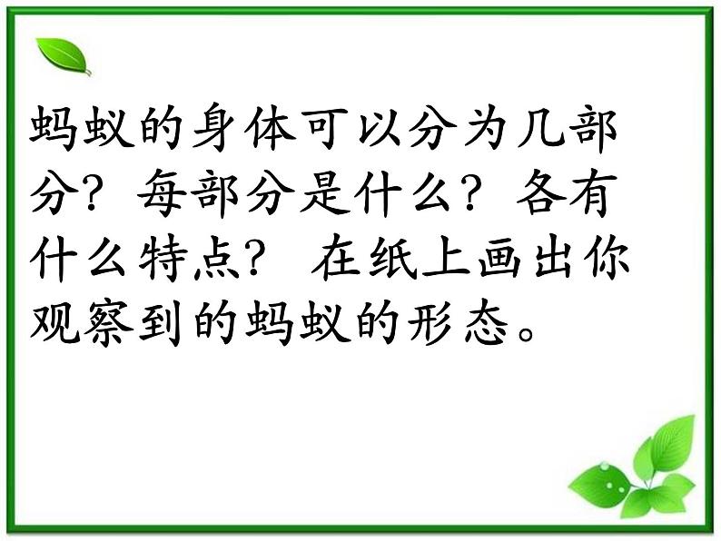 教科小学科学三上《2.5、蚂蚁》PPT课件(12)第3页