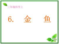 教科版三年级上册6、金鱼教学演示ppt课件