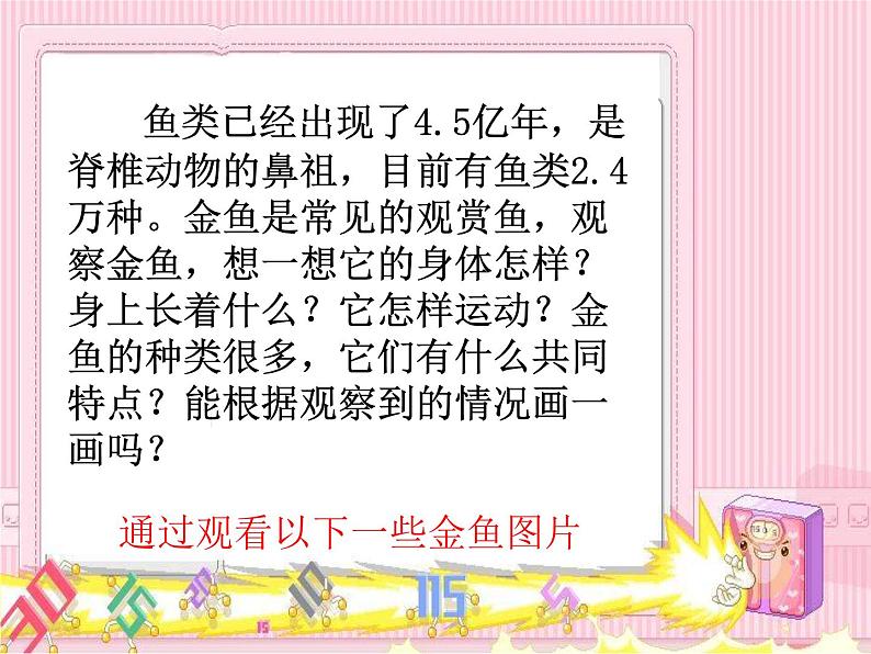 教科小学科学三上《2.6、金鱼》PPT课件(11)第2页