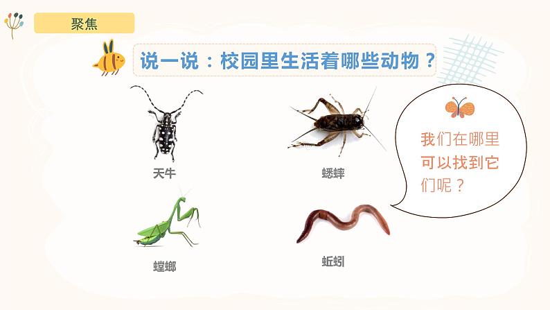 教科版(2017)科学一年级下册2.2《校园里的动物》课件PPT+教案+同步练习05