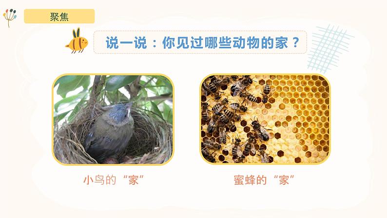 教科版(2017)科学一年级下册2.4《给动物建个“家”》课件PPT+教案+同步练习03