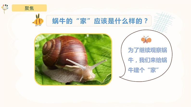 教科版(2017)科学一年级下册2.4《给动物建个“家”》课件PPT+教案+同步练习04