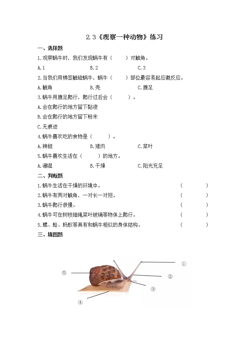 教科版(2017)科学一年级下册2.3《观察一种动物》课件PPT+教案+同步练习01