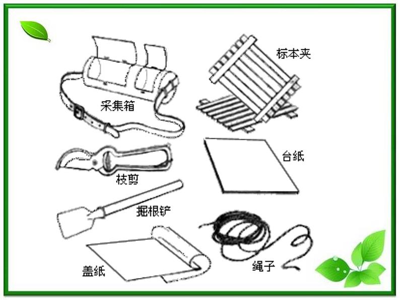 人教小学科学四年级上册2.2制作植物标本课件PPT04