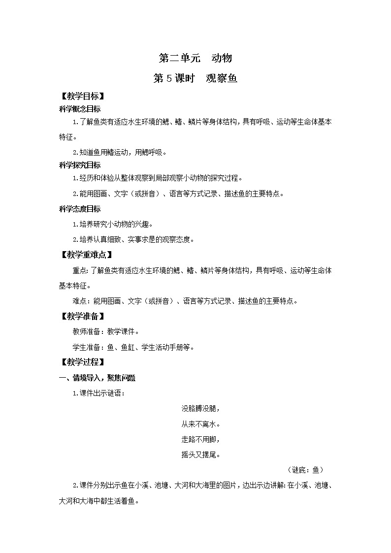 教科版(2017)科学一年级下册2.5《观察鱼》课件PPT+教案+同步练习01
