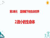 1.2 微小的生命體 課件