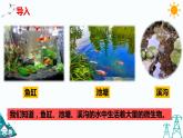 1.2 微小的生命體 課件