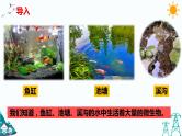 1.2 微小的生命体 课件