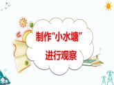 1.2 微小的生命體 課件