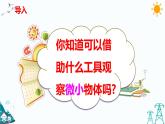 1.1 搭建生命體的“積木”課件