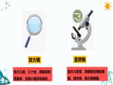 1.1 搭建生命體的“積木”課件