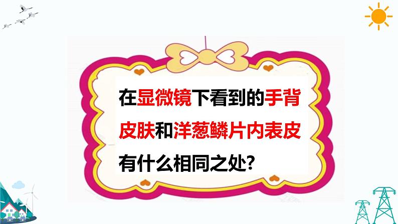 1.1 搭建生命体的“积木”课件08