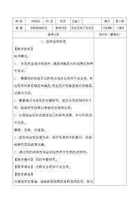 小学科学教科版四年级下册2.各种各样的花教案