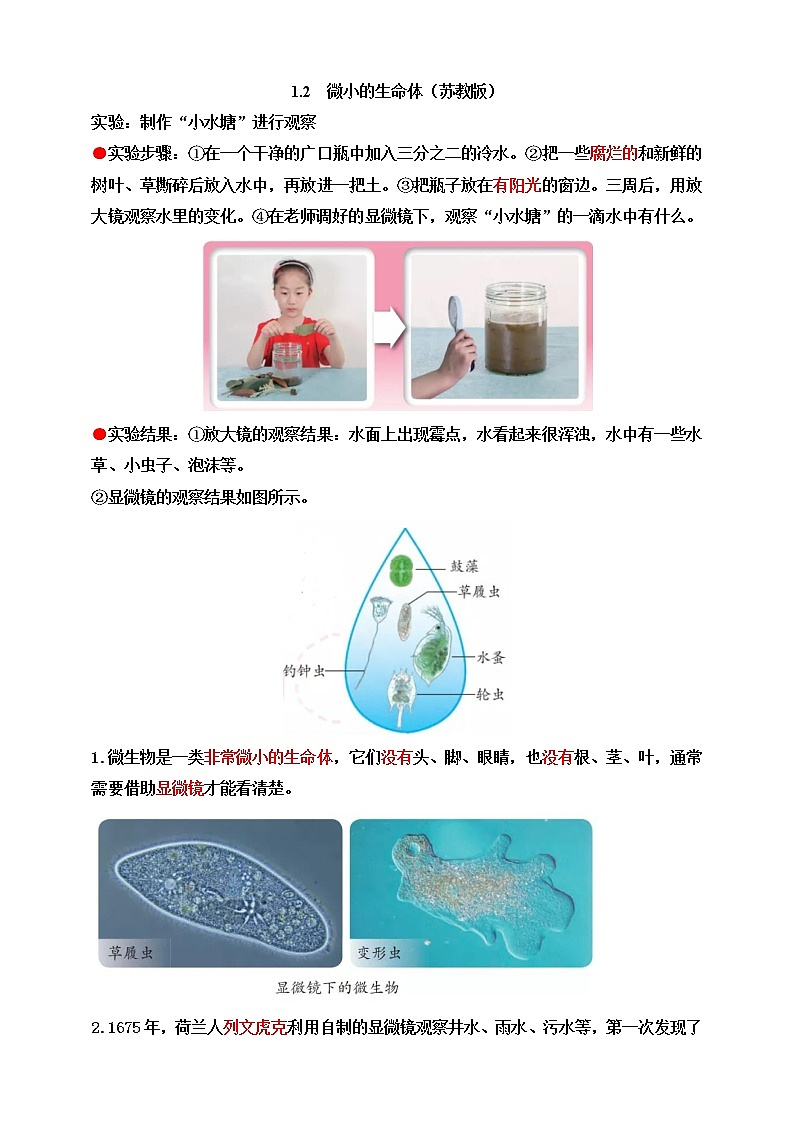 苏教版五年级科学下册1.2 微小的生命体 知识点第1页