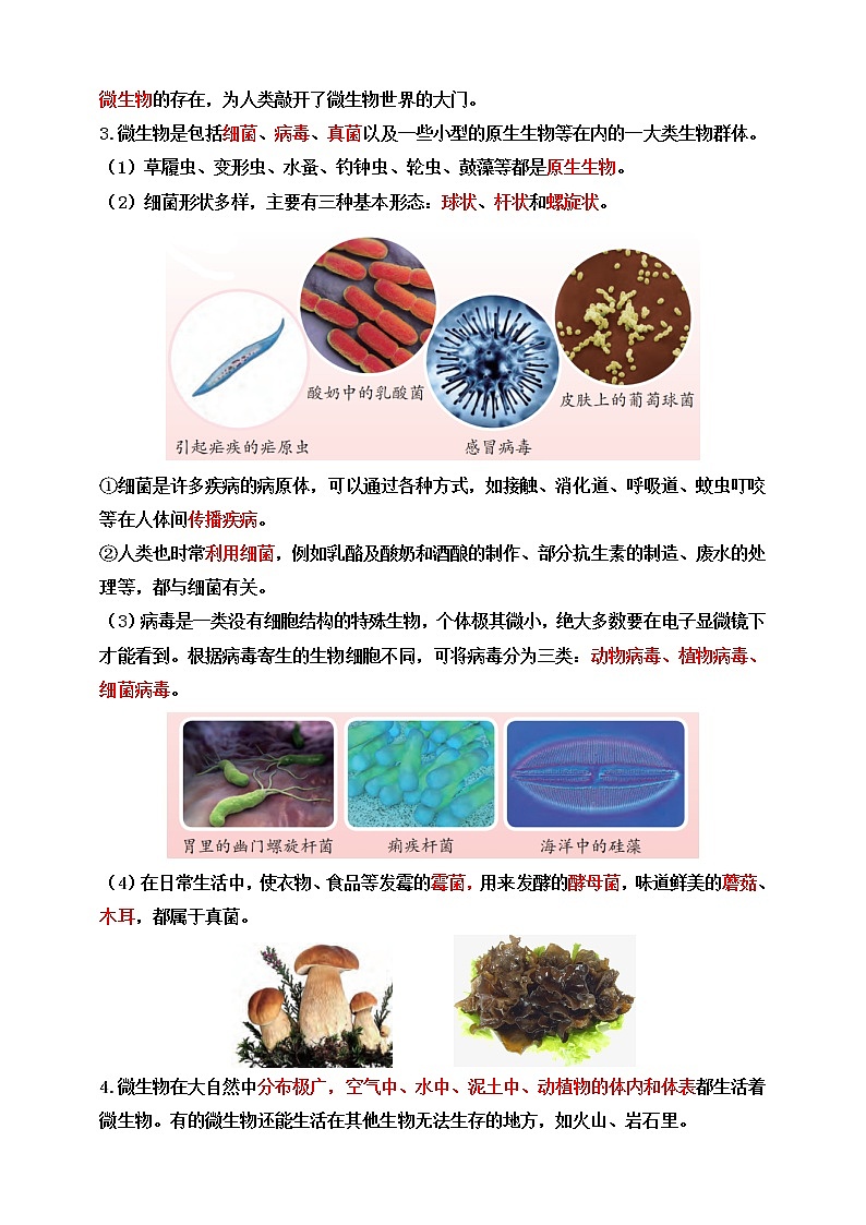 苏教版五年级科学下册1.2 微小的生命体 知识点第2页