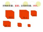 五年级下册科学课件 -1.2 沉浮与什么因素有关 ｜教科版 (共17张PPT)