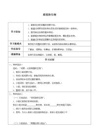 小学科学冀教版四年级下册10 周围的生物授课课件ppt