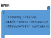 教科版(2017秋）三年级科学下册2.2认识其他动物的卵（课件34张ppt+素材)