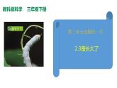 教科版(2017秋）三年級科學下冊2.3蠶長大了（課件38張ppt+素材)