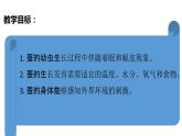 教科版(2017秋）三年級科學下冊2.3蠶長大了（課件38張ppt+素材)