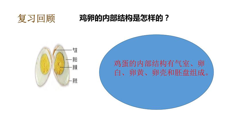 教科版(2017秋）三年级科学下册2.3蚕长大了（课件38张ppt+素材)05