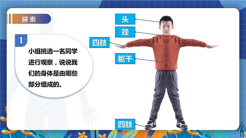 教科版（2017）科学二年级下册2.1《观察我们的身体》课件PPT+教案+同步练习03