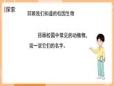 新教科版科學(xué)六下 2.1 校園生物大搜索 課件PPT+視頻素材