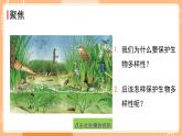 新教科版科學(xué)六下 2.7 保護(hù)生物多樣性 課件PPT+視頻素材