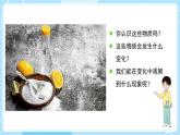 新教科版科學(xué)六下 4.2 產(chǎn)生氣體的變化 課件PPT+視頻素材