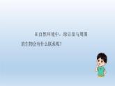 小学科学教科版五年级下册第一单元第6课《食物链和食物网》课件5（2022新版）