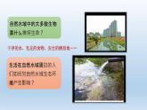 分析一个实际的环境问题PPT课件免费下载