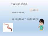 小学科学教科版五年级下册第一单元第4课《蚯蚓的选择长》课件5（2022新版）