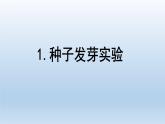 种子发芽实验PPT课件免费下载