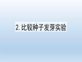 比较种子发芽实验PPT课件免费下载