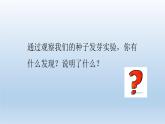 比较种子发芽实验PPT课件免费下载