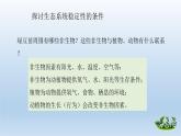 设计和制作生态瓶PPT课件免费下载